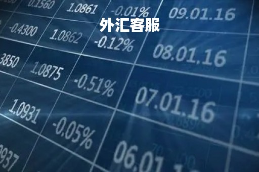 外汇客服「外汇客服电话」