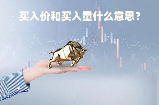 买入价和买入量什么意思？