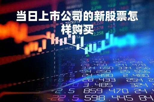 当日上市公司的新股票怎样购买「新股上市当天怎么买入」