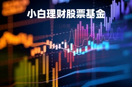 小白理财股票基金「小白理财股票基金可靠吗」