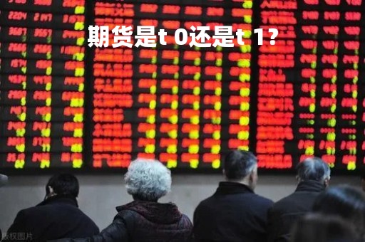 期货是t 0还是t 1？