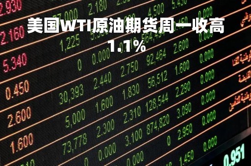 美国WTI原油期货周一收高1.1%