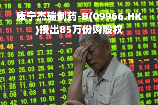 康宁杰瑞制药-B(09966.HK)授出85万份购股权