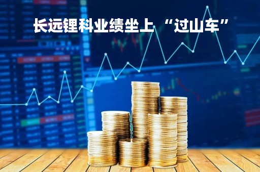 长远锂科业绩坐上 “过山车”