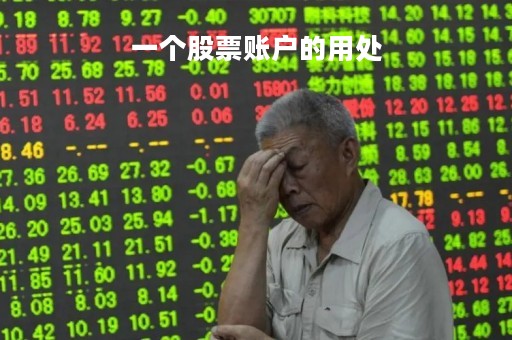 一个股票账户的用处「一个股票账户的用处有多大」