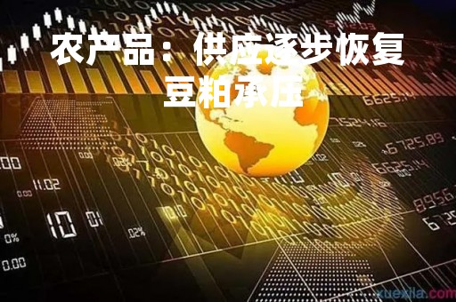 农产品：供应逐步恢复 豆粕承压