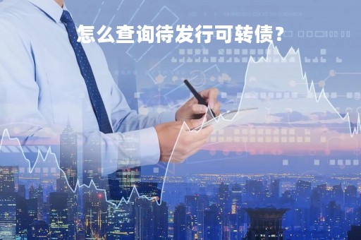 怎么查询待发行可转债？