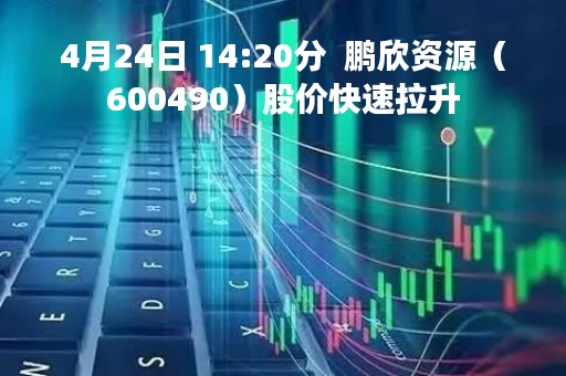 4月24日 14:20分  鹏欣资源（600490）股价快速拉升