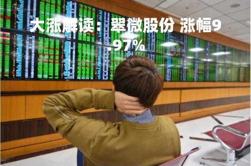 大涨解读：翠微股份 涨幅9.97%