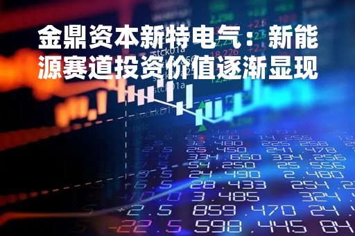 金鼎资本新特电气：新能源赛道投资价值逐渐显现，产业发展面临新挑战