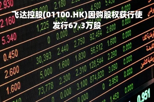 飞达控股(01100.HK)因购股权获行使发行67.3万股