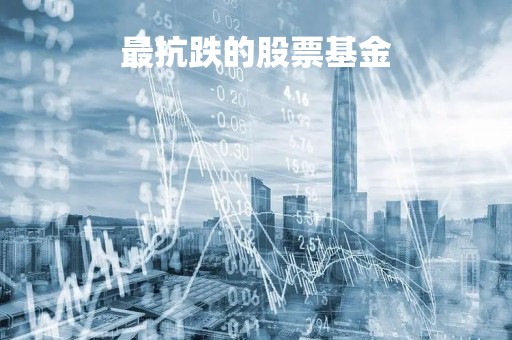 最抗跌的股票基金「2021年最抗跌的基金」