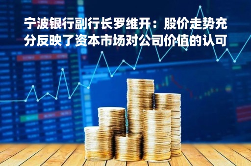 宁波银行副行长罗维开：股价走势充分反映了资本市场对公司价值的认可