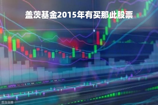 盖茨基金2015年有买那此股票