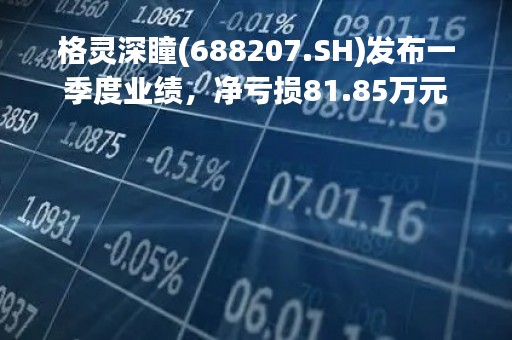 格灵深瞳(688207.SH)发布一季度业绩，净亏损81.85万元