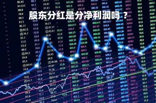 股东分红是分净利润吗 ？