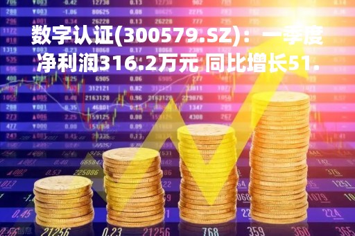 数字认证(300579.SZ)：一季度净利润316.2万元 同比增长51.21%