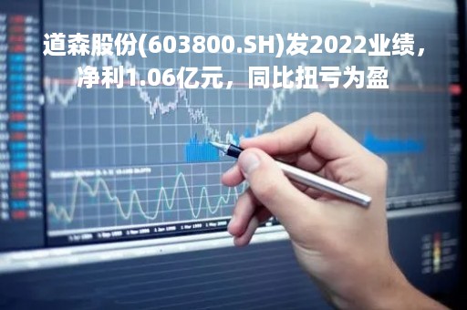 道森股份(603800.SH)发2022业绩，净利1.06亿元，同比扭亏为盈
