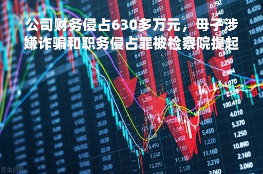 公司财务侵占630多万元，母子涉嫌诈骗和职务侵占罪被检察院提起公诉