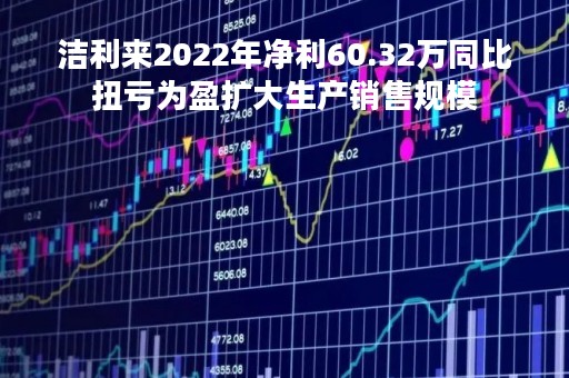 洁利来2022年净利60.32万同比扭亏为盈扩大生产销售规模