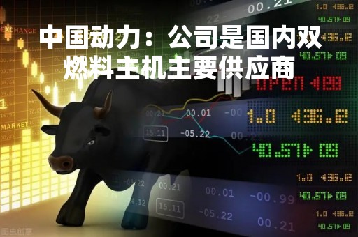 中国动力：公司是国内双燃料主机主要供应商