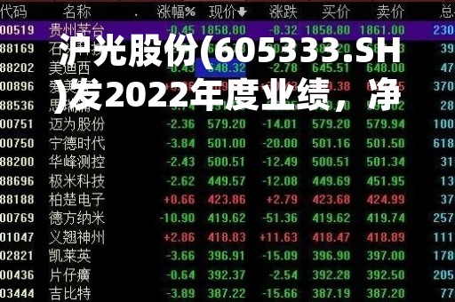 沪光股份(605333.SH)发2022年度业绩，净利润4106.63万元，同比扭亏为盈