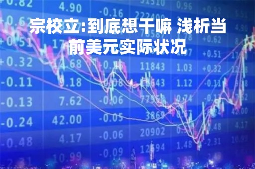 宗校立:到底想干嘛 浅析当前美元实际状况