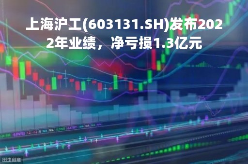 上海沪工(603131.SH)发布2022年业绩，净亏损1.3亿元