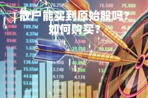散户能买到原始股吗？如何购买？
