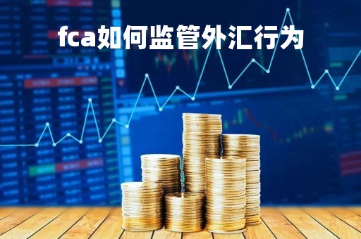 fca如何监管外汇行为「fca监管有什么好处」