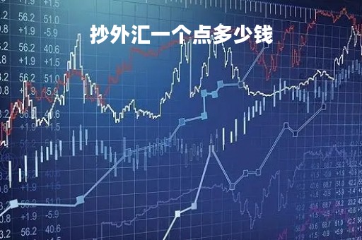 抄外汇一个点多少钱「抄外汇有什么风险」