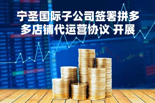 宁圣国际子公司签署拼多多店铺代运营协议 开展农副产品电商业务