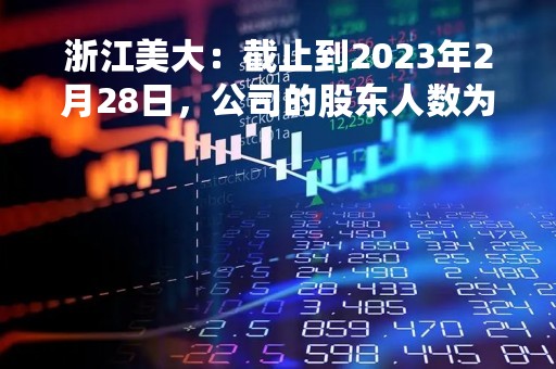 浙江美大：截止到2023年2月28日，公司的股东人数为85,095户