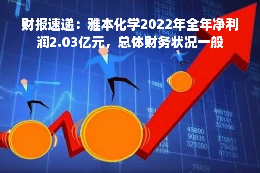 财报速递：雅本化学2022年全年净利润2.03亿元，总体财务状况一般