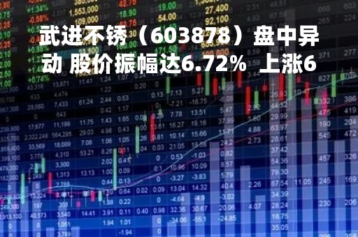 武进不锈（603878）盘中异动 股价振幅达6.72%  上涨6.72%（04-25）