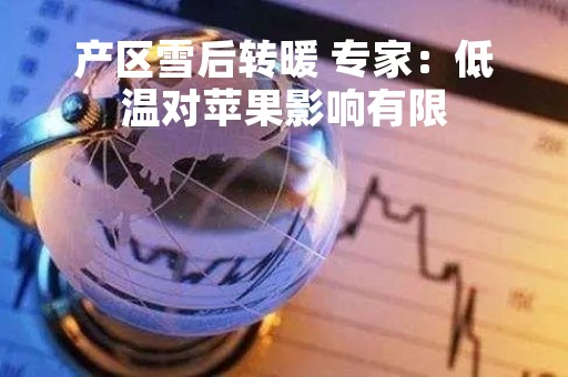产区雪后转暖 专家：低温对苹果影响有限