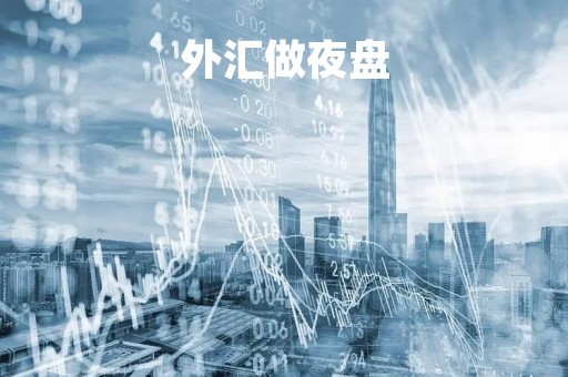 外汇做夜盘「外汇操盘是什么意思」
