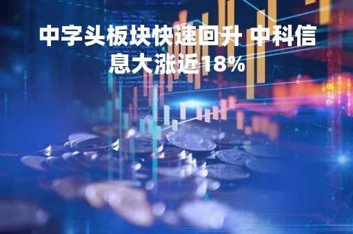 中字头板块快速回升 中科信息大涨近18%