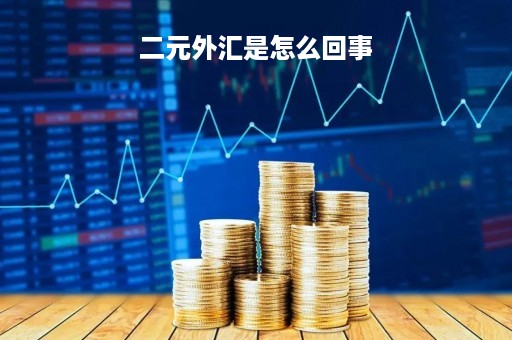 二元外汇是怎么回事「二元型挂钩汇率看跌」