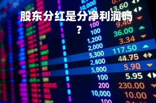 股东分红是分净利润吗 ？