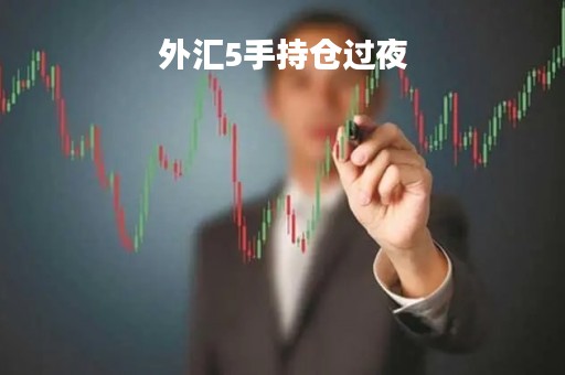 外汇5手持仓过夜「外汇持仓过夜费多少」