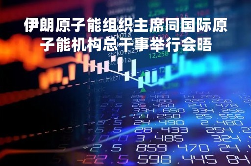 伊朗原子能组织主席同国际原子能机构总干事举行会晤