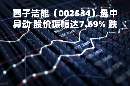 西子洁能（002534）盘中异动 股价振幅达7.69% 跌6.99% 报15.97元（04-25）