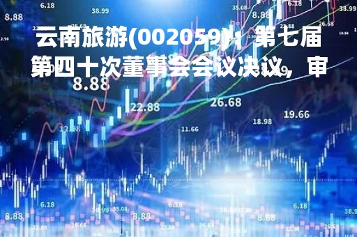 云南旅游(002059)：第七届第四十次董事会会议决议，审议4项议案获通过