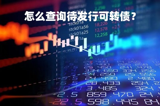 怎么查询待发行可转债？