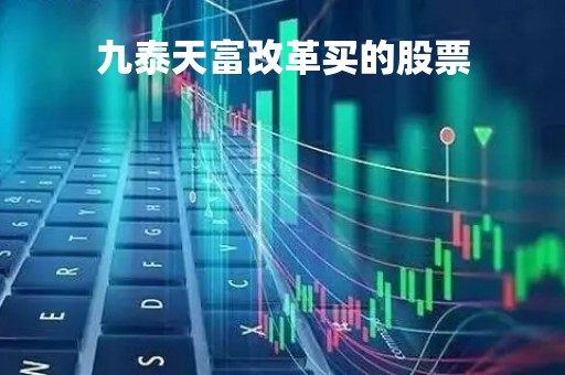 九泰天富改革买的股票「九泰天富改革混合」