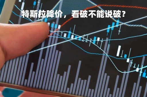 特斯拉降价，看破不能说破？