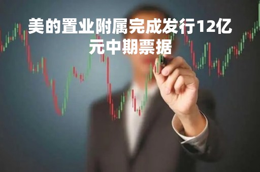 美的置业附属完成发行12亿元中期票据