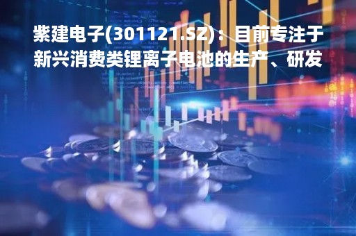 紫建电子(301121.SZ)：目前专注于新兴消费类锂离子电池的生产、研发和销售