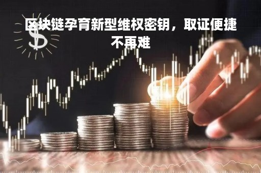 区块链孕育新型维权密钥，取证便捷不再难